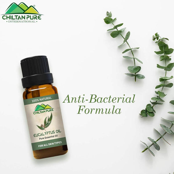 Eucalyptus Infused Oil